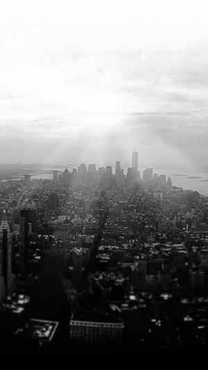 给力大辞典破解版截图2